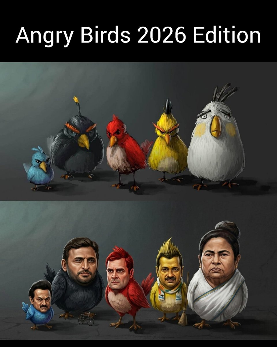 Angry Birds 🦜