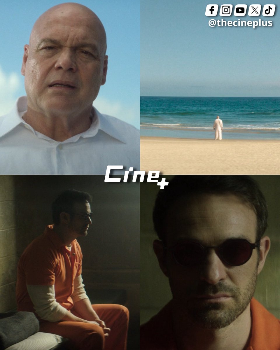 CINE+ tweet media