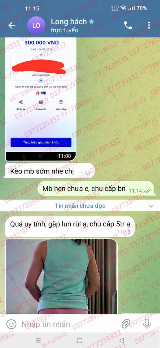 MÔ GIỚI QUÝ BÀ tweet media