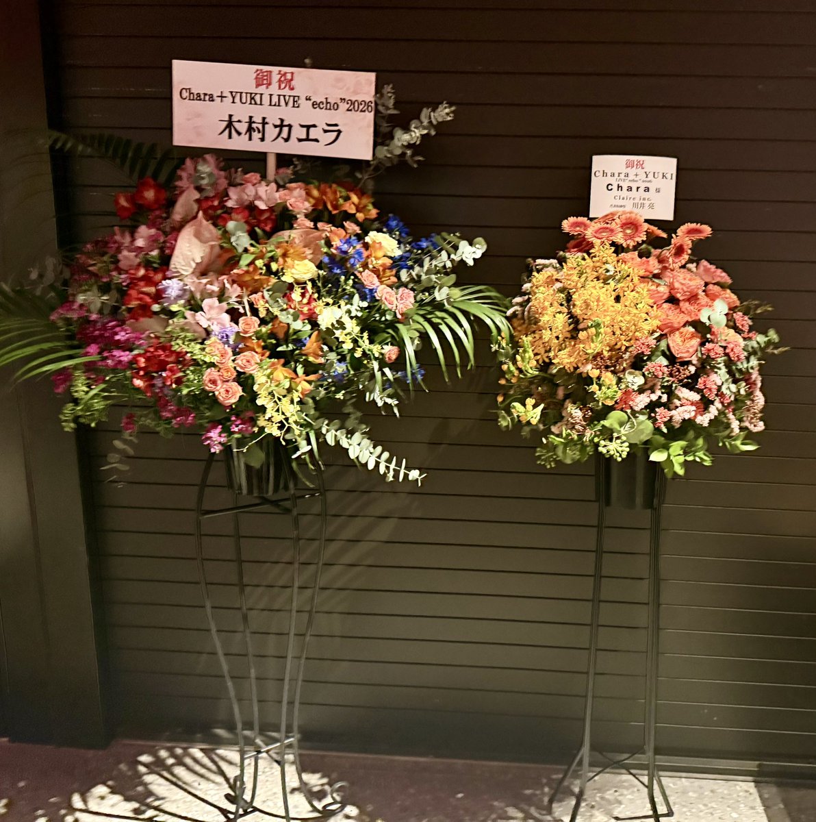 キョーコ tweet media