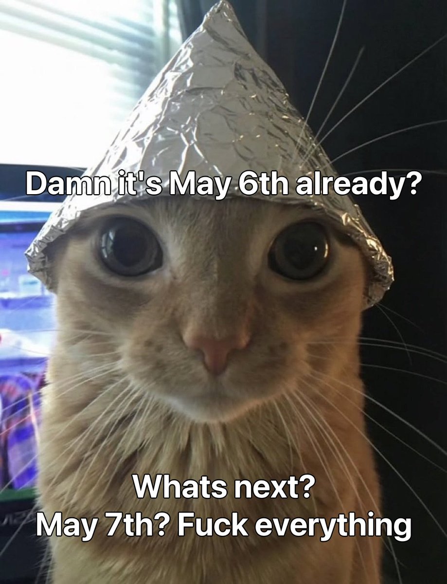LiterallyMeCats tweet media