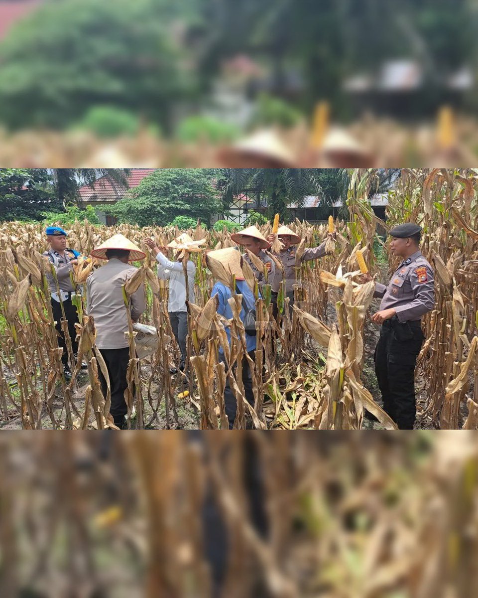 POLRESTA BANYUWANGI tweet media