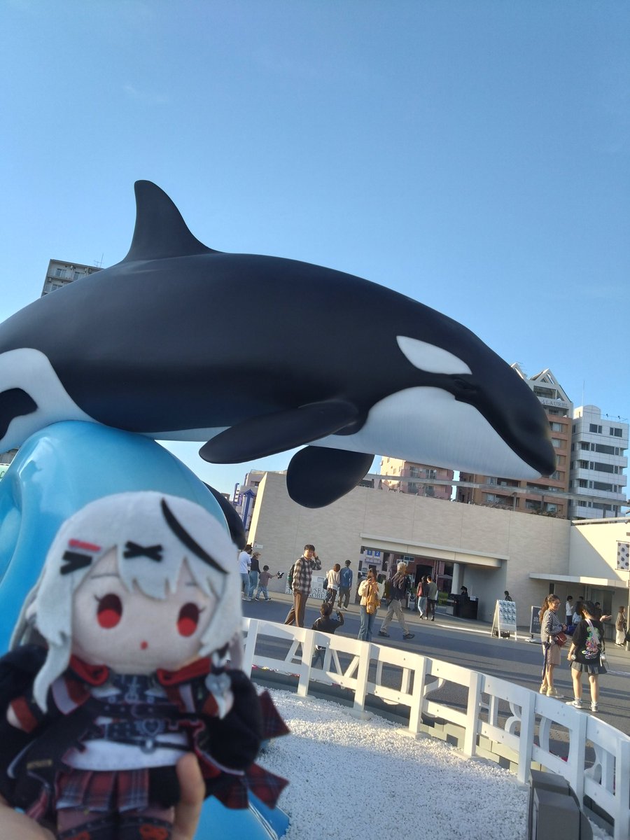あんず 🎣 ☂️🐬/🌟🚀 tweet media