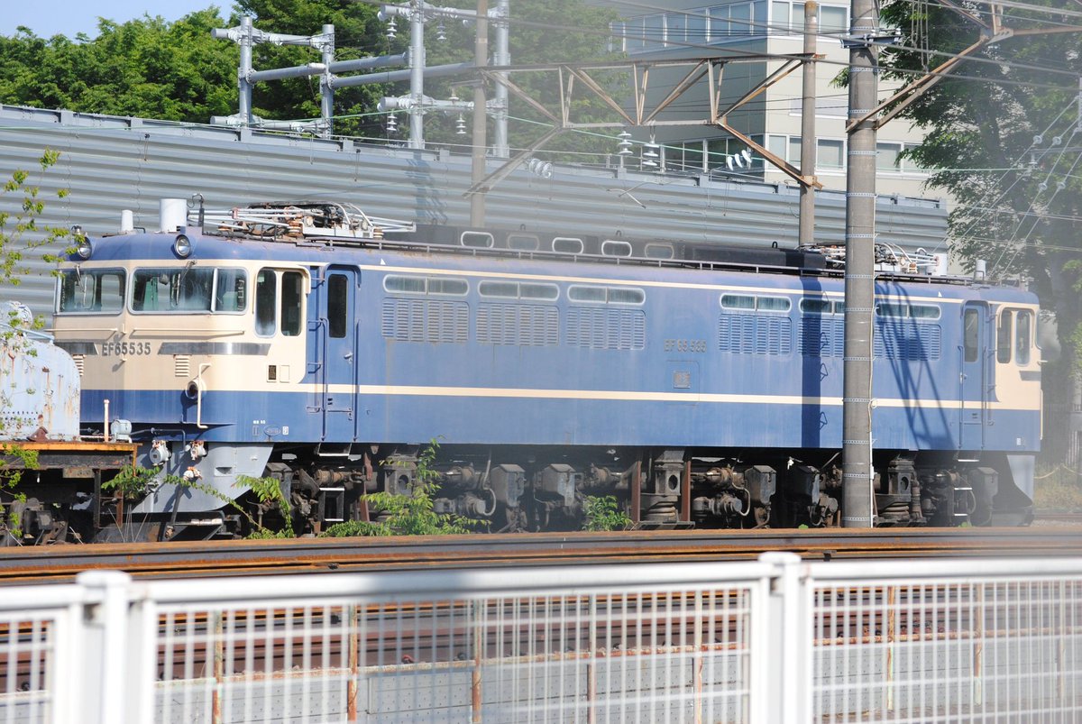 ilex_hiragi's tweet photo. 保存車巡り その7：EF65-535,ED31-3

東芝の府中事業所にて保存？留置？されている。　EF65は塗装もきれいだが、ED31の方はサビが目立つ
今や貴重なP形のEF65なので、綺麗に保存してもらいたい

アクセス：北府中駅すぐ
#保存車巡り #EF65 #ED31 https://t.co/PK2zEn8gqa