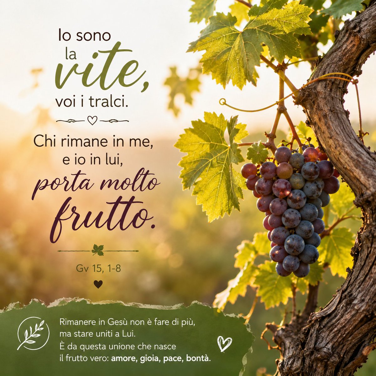 AnnaMDiGennaro's tweet photo. “Se resto unita a Lui, porto frutto.
Se mi stacco, mi svuoto.
Oggi scelgo di rimanere. 🌿”

#Vangelodioggi #RimanereInLui #Frutto #Luce #Cuore https://t.co/G1iMfjxKPH
