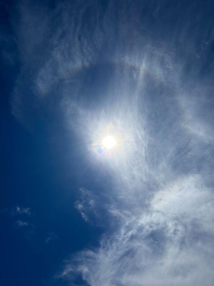 Sakyu_visitor's tweet photo. 5月6日　#GW最終日？
昨日に比べ訪れる人々は半減し
空には巻雲や巻積雲が広がる鳥取砂丘です。
太陽と重なったときには
巻雲にハロ(日暈)が出ています。

風がよく吹いて
昨日の大勢の人々の足あとが消え
#風紋 復活。
そして、ニセアカシアの花は満開！
砂防林からは甘い香りが漂います。
#鳥取砂丘 https://t.co/1tGBRpxMF1