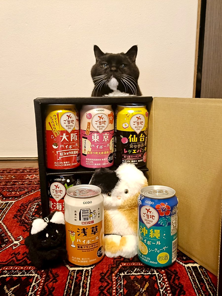のん子 tweet media