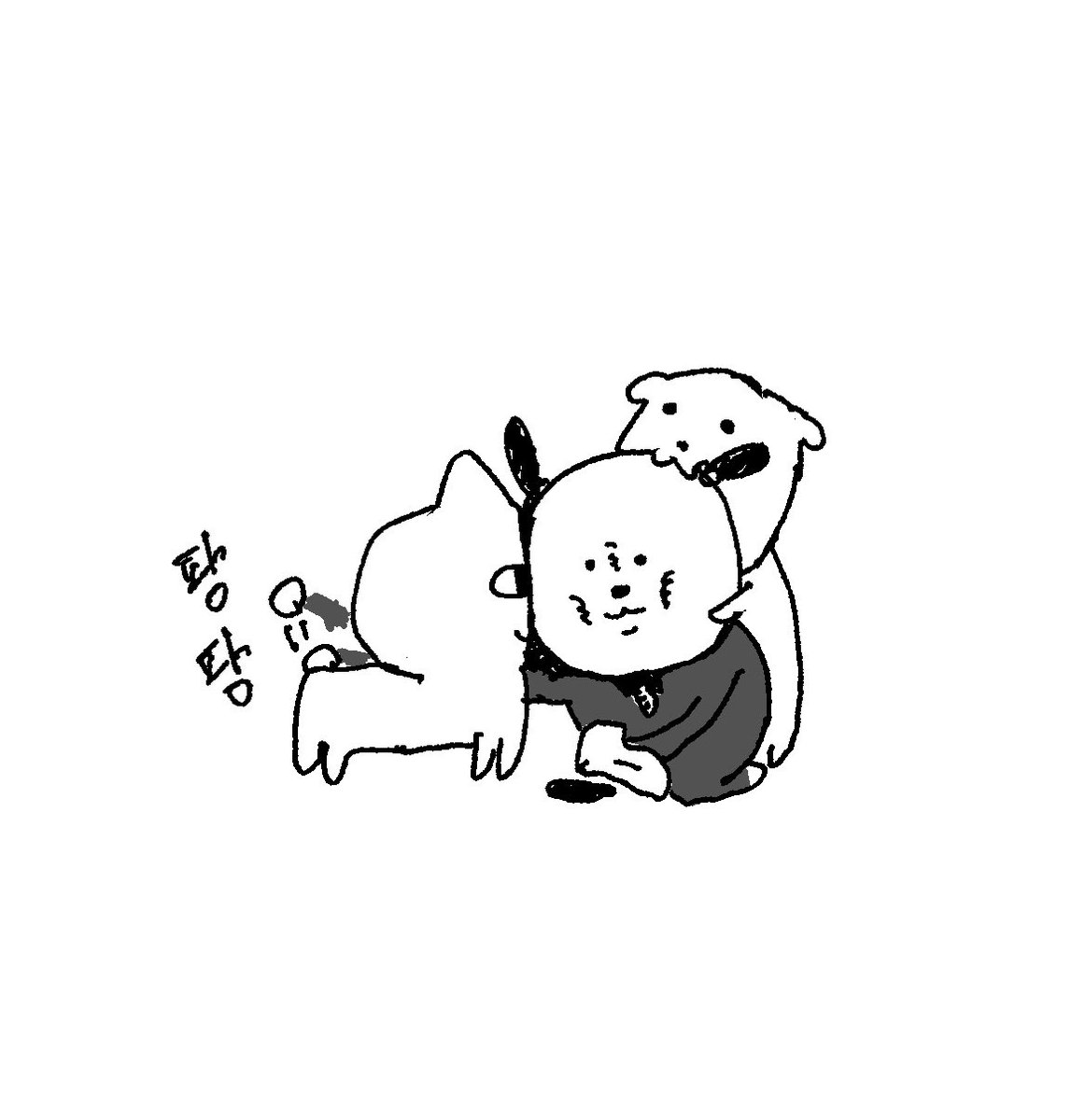 박두기 tweet media
