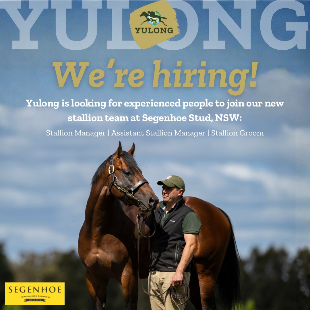 YulongInvest's tweet photo. ⚜️ Want to take your next step in the industry?

We’re hiring experienced people to join our team in the following roles:

▫️ Stallion Manager
▫️ Assistant Stallion Manager
▫️ Stallion Groom

📍Segenhoe Stud, NSW

For more information:
🔗 https://t.co/3uviDnARsX https://t.co/h2Jolrct8H