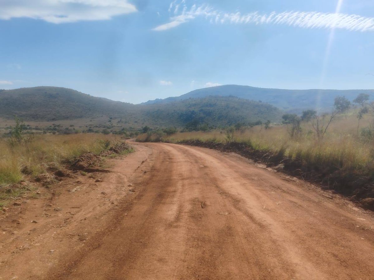 TourismNW's tweet photo. Steady progress at Pilanesberg Nature Reserve with the grading of roads. Kwalata Road is complete, with Tshepe Road now in progress. The work done is very dependent on the ground been dry  after rain.
#WeDoTourism
#Explore
#Experience
#Enjoy
#VisitNWParks
#Pilanesberg https://t.co/fPenQQoVZ9