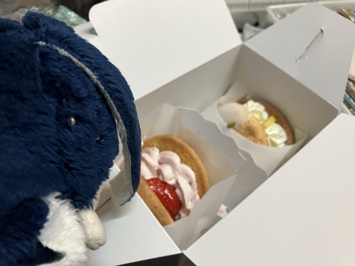 tlephone_line_p's tweet photo. 米子、これは亀屋万年堂の生ナボナよ。
桜いちごは桜の塩漬けのお味がしっかりしていて、桜味好きさんにおすすめ。
こっちは近所のバラ。見頃。 https://t.co/FEGfS3twpK