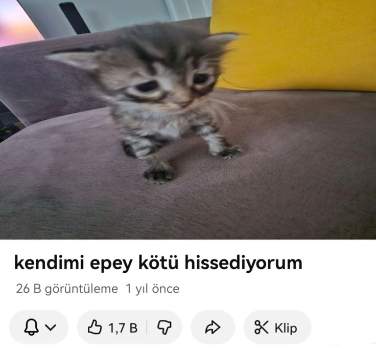 s tweet media