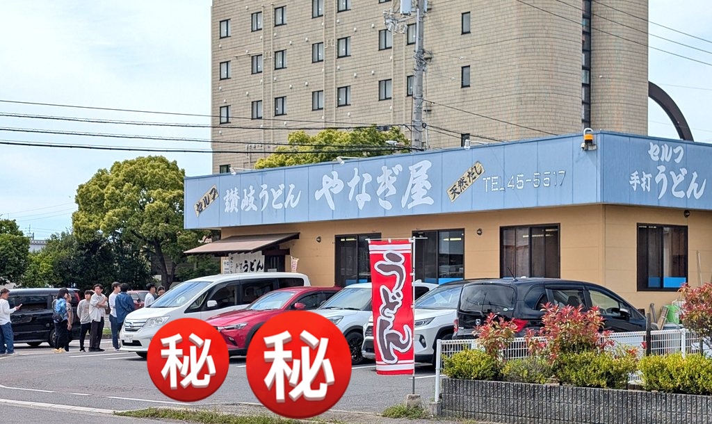 ドラゴンジョン tweet media