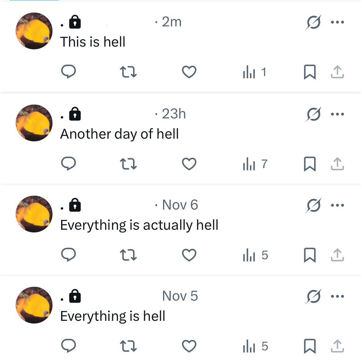 dom tweet media