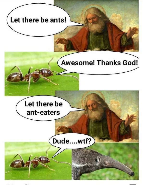 NarrScurra's tweet photo. @RealestMemes_ https://t.co/9HhWpaCSXu