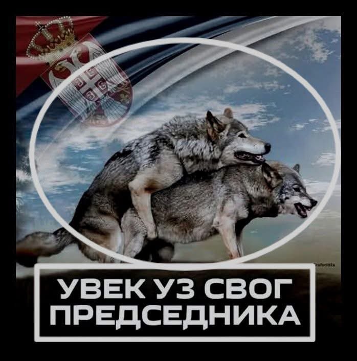 Ivan Milosavljevic tweet media