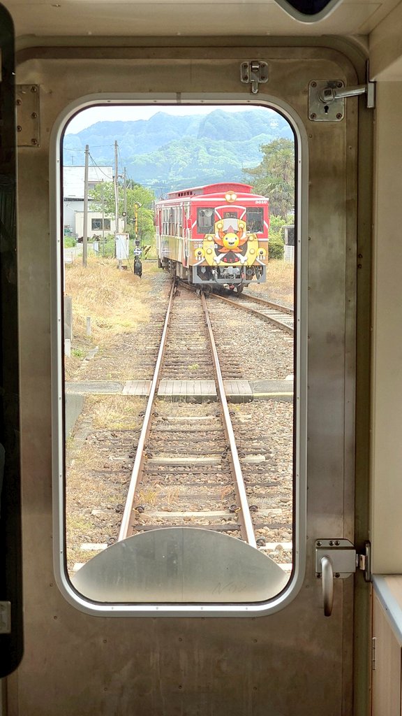 トラ tweet media