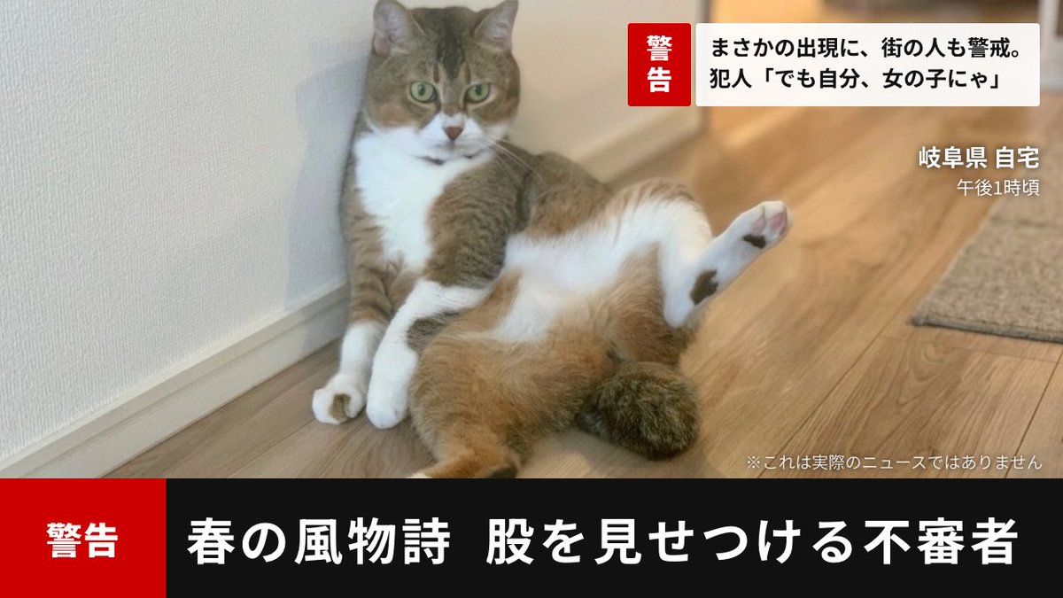 オキエイコ tweet media