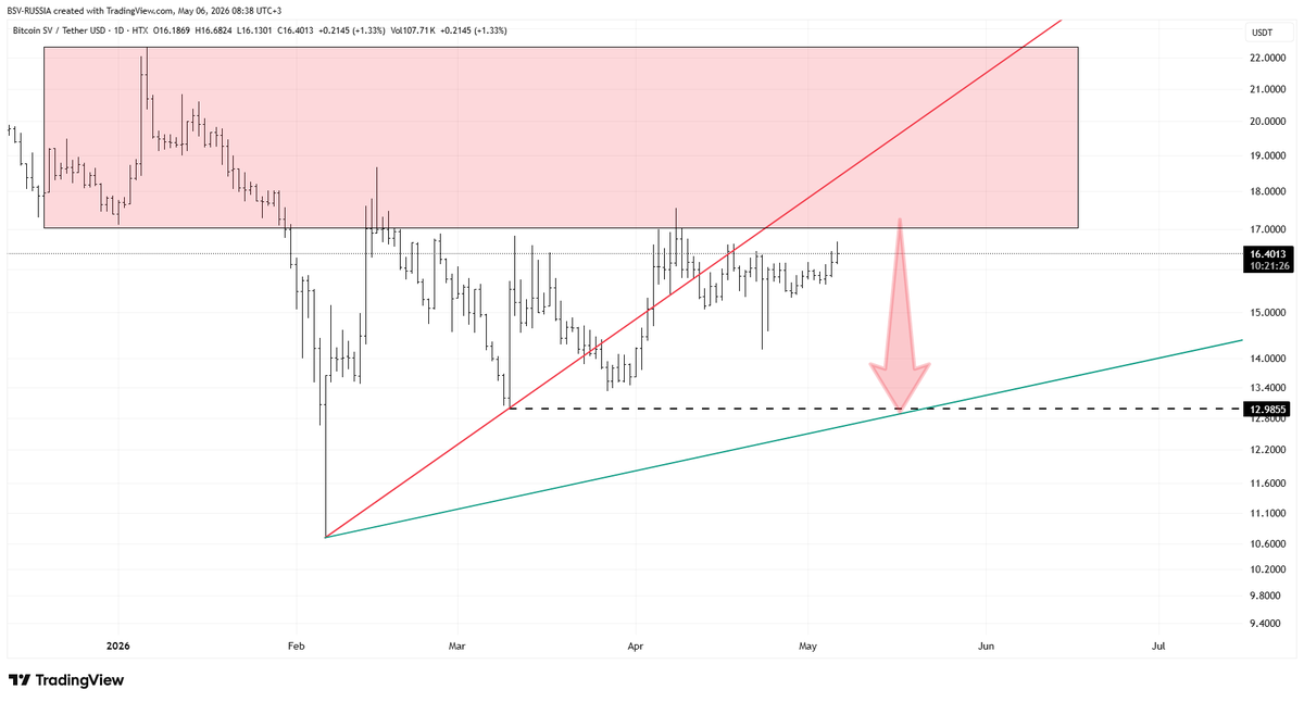 BitcoinSV Russia 🐉 tweet media