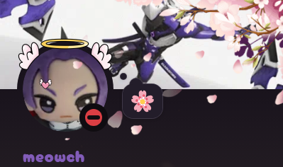 meowch 먀우치🌸 tweet media