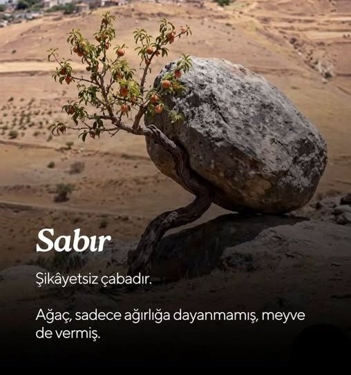 Hülya Demirdaş🇹🇷 tweet media