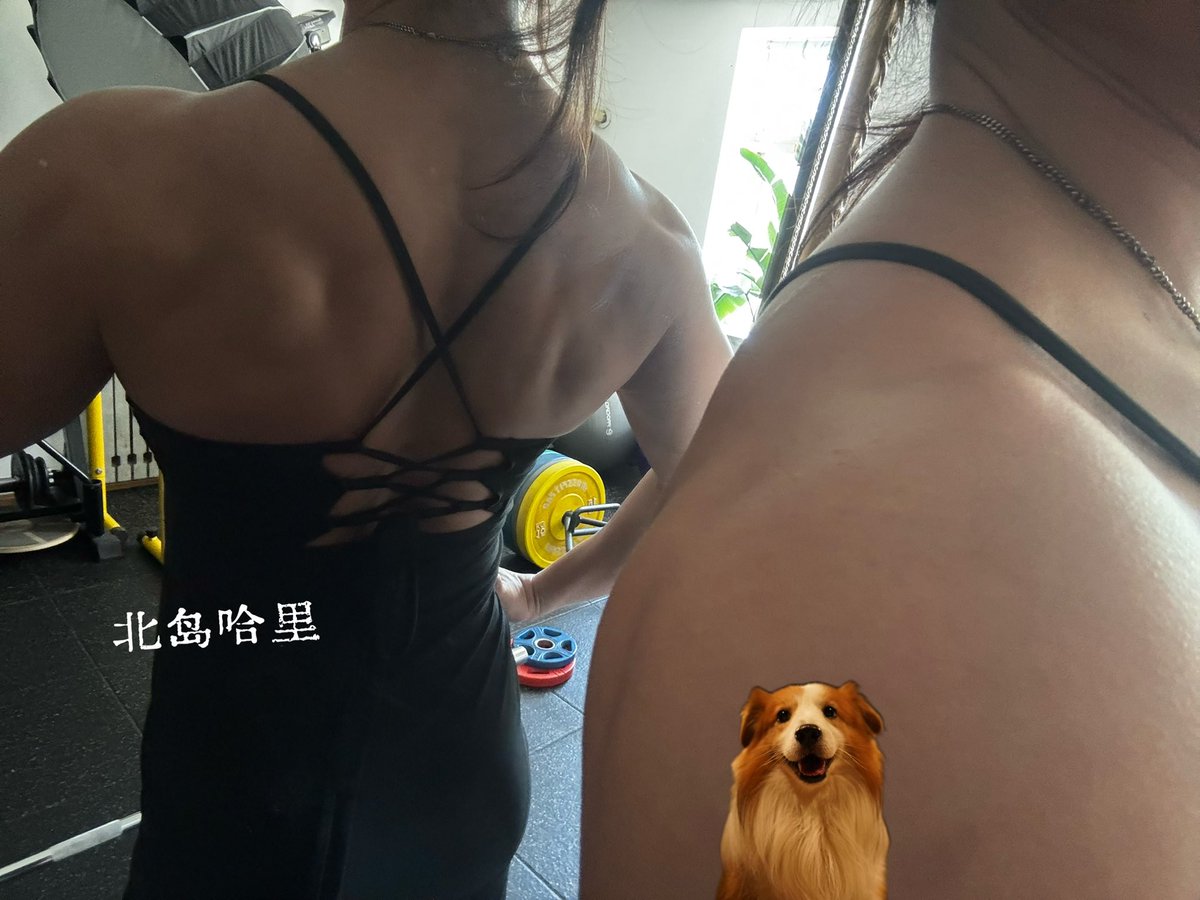 北岛哈里 tweet media