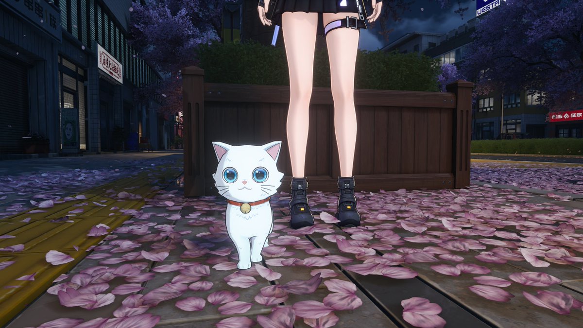 猫千代　0606 Post by せぴぃ on X: 猫