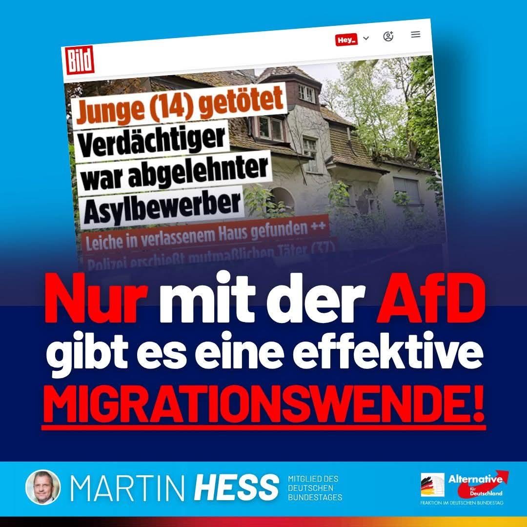 Martin Hess tweet media