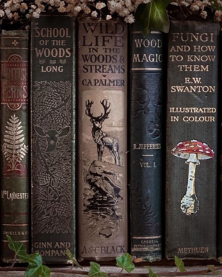 _littlegroves's tweet photo. books befitting of a fairy https://t.co/DM6Atefg3m