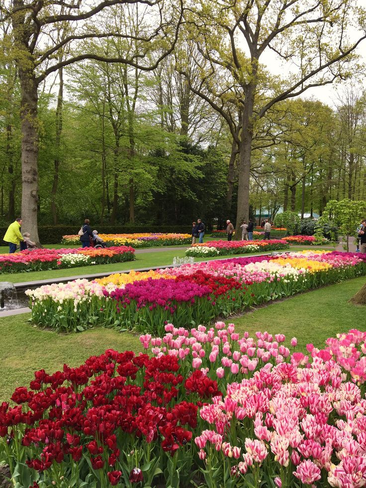 tutututututulip's tweet photo. https://t.co/p8io7PFi87