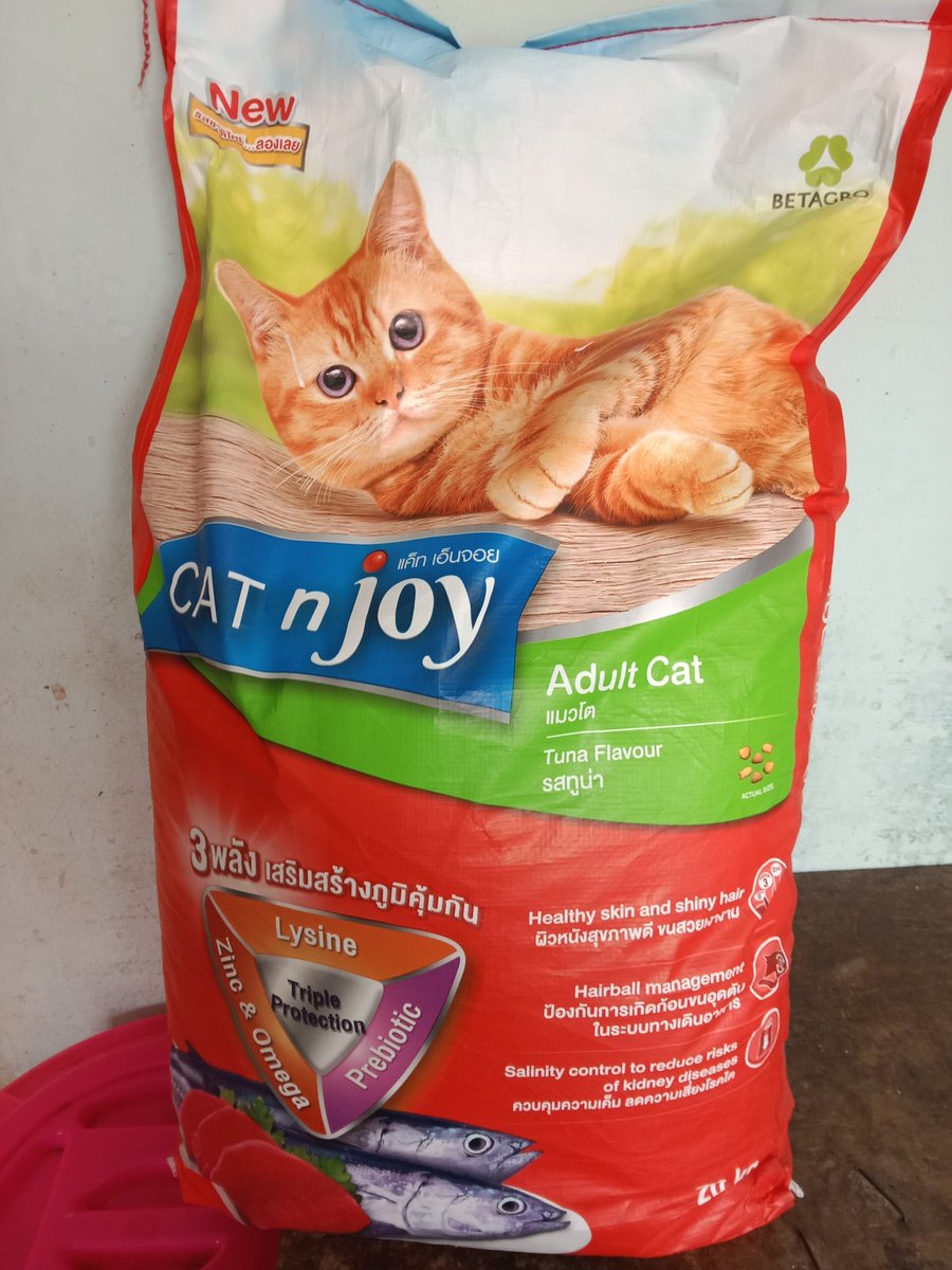 ***มะลิบ้านรักแมวจร41ชีวิต+สุนัข2🏠__🐇🐈‍⬛🐕🍃 tweet media