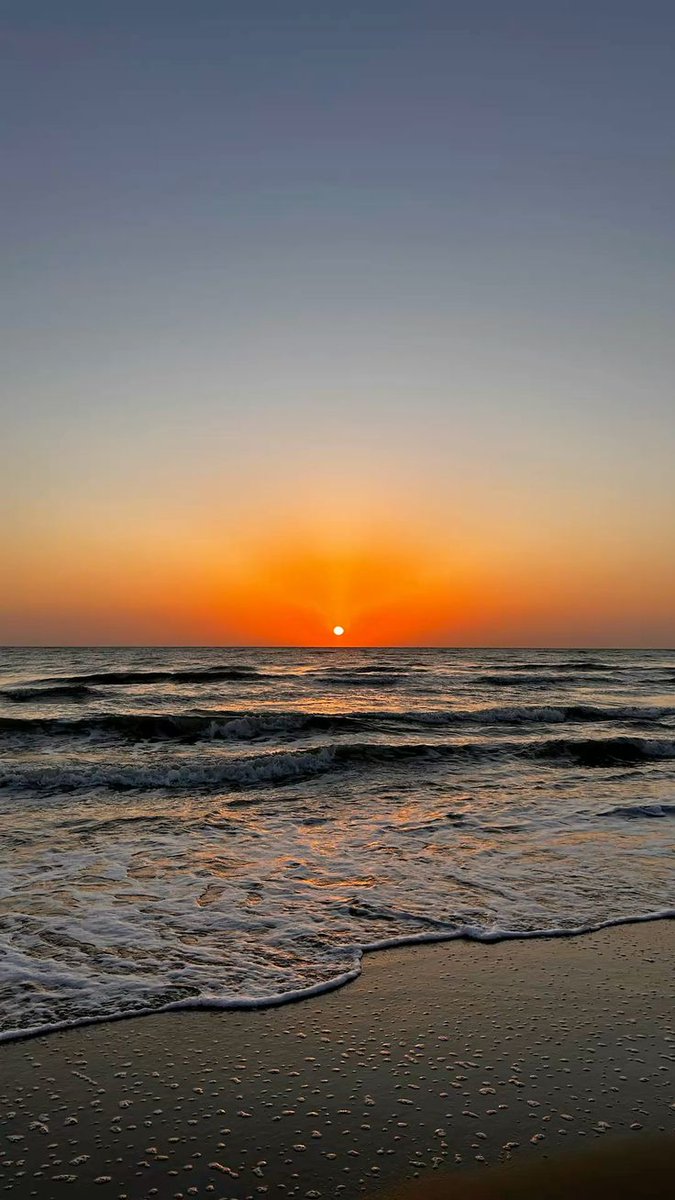 Shades Of Nature tweet media