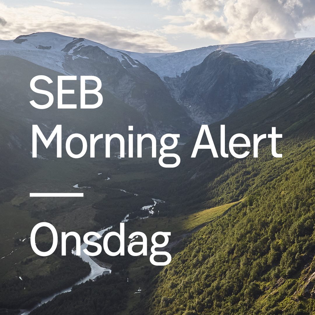 SEB tweet media