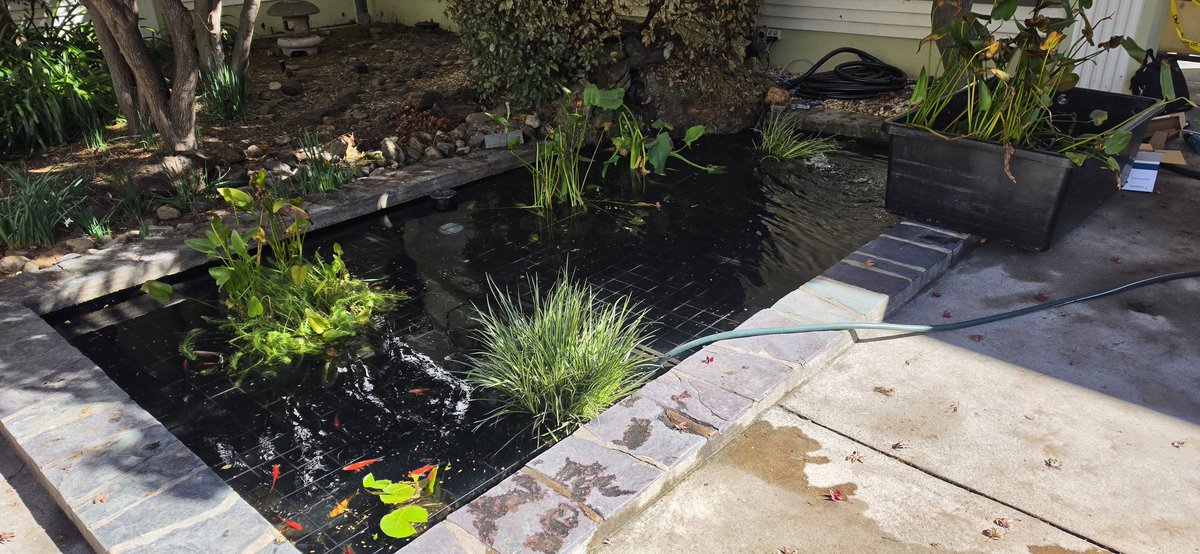 89Dabby76121's tweet photo. Not many can say it, but my art is officially a display at the Australian National Film and Sound Archive. Me and the team from Canberra Aquarium Maintenance did the pond and the mini Uluru is my personal creation given as a random side quest from the boss 😅 #CanberraAquariumandmaintainence #fibreglass #newtons #newaUluru