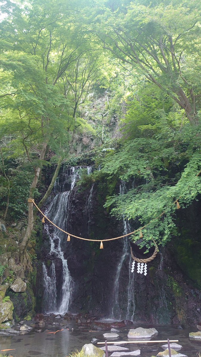 ATex_now's tweet photo. 自然を感じる休み https://t.co/dygNeVM9pI