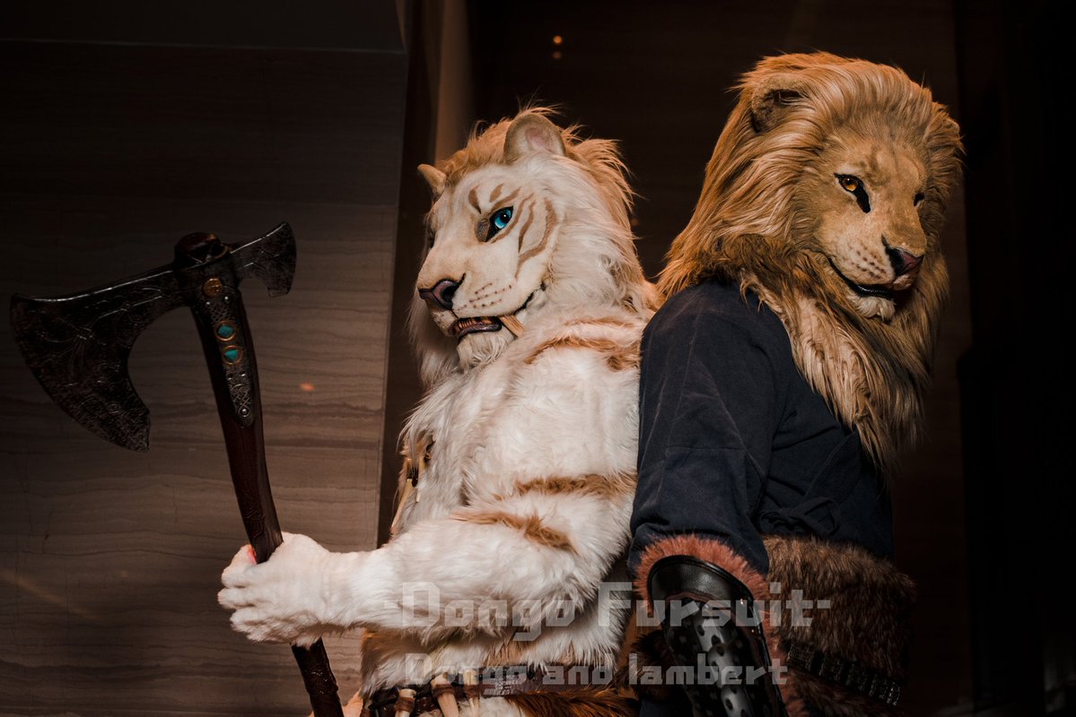🐯🦁Dongo and Lambert
🦁：<a href="/LLAMBERT97/">LAMBERT</a>
📷：<a href="/fH77079653/">小伟丶fH</a>