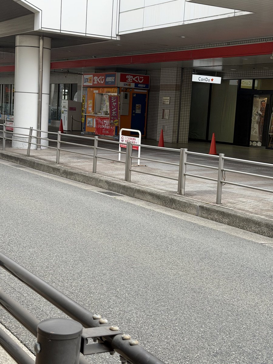 リチャール(🐟ネーム：トントンとんがりエビス) tweet media