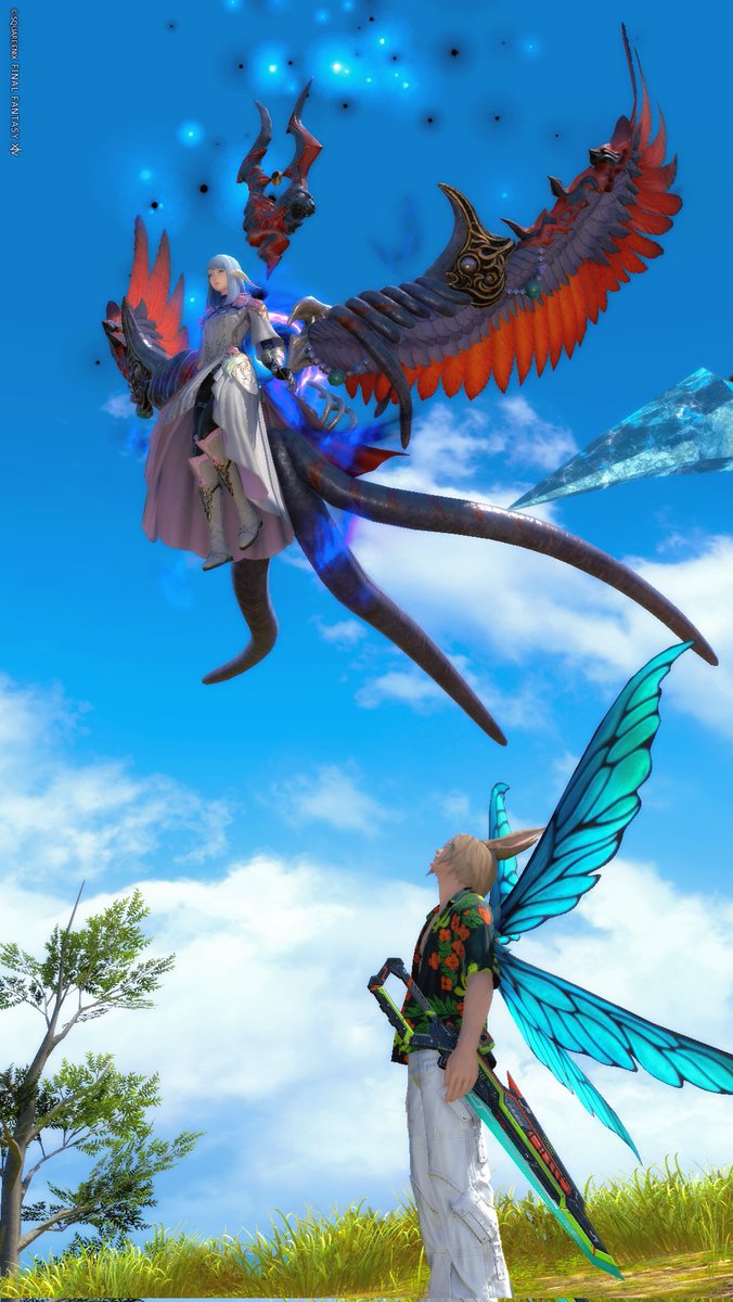 マド tweet media