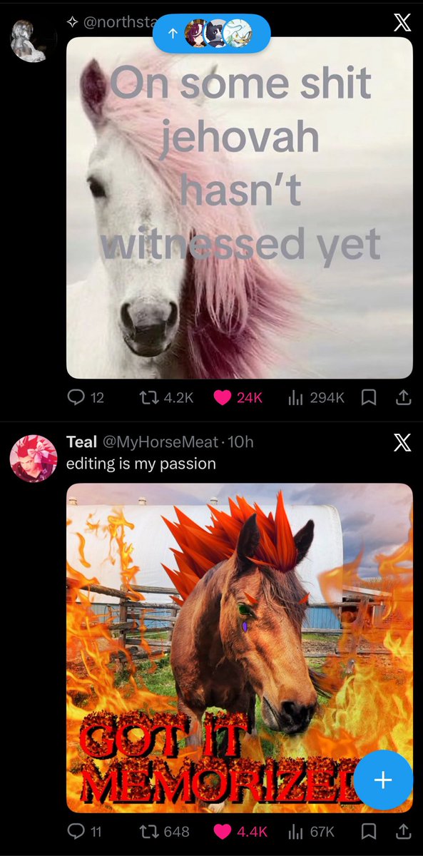 Kazu 🐉 tweet media