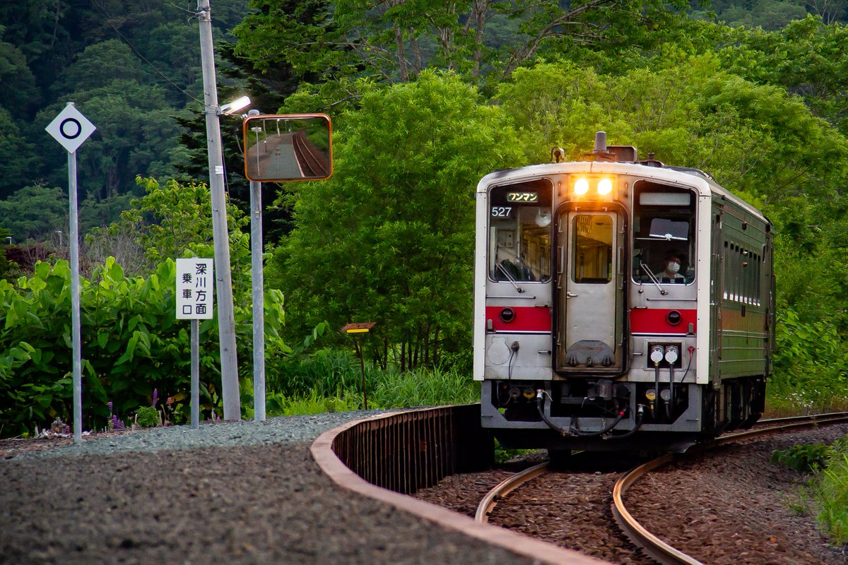 ine_JRh's tweet photo. 列車が来なくなって3年。人の手が入らなくなったこの場所は、かつてここに線路とホームがあったことを感じさせないほどに見事な雪原に成り果てた。
ワンマンミラーと停車位置目標を支えていた柱と背景の木の位置関係がこの写真が同じ場所だと証明する…
2021.6→2026.2  留萌線 大和田駅 https://t.co/FJQqZPJoMU
