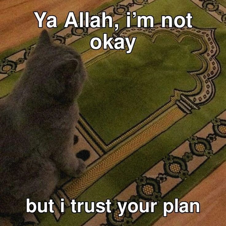 i trust your plan