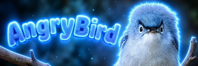 TarperDEV's tweet photo. This bird is going viral with a trending page for looking like an IRL angrybird

The species is called a "Blue-Grey Gnatcatcher", the whole trending page is memeing the bird's stare

This is so good, trending: https://t.co/zAaBFlGTUG https://t.co/cLudMRvcjZ