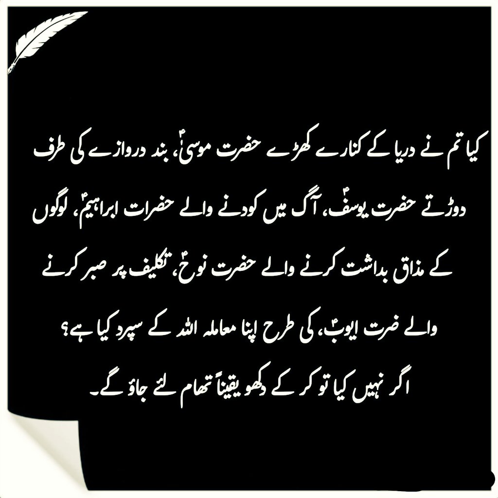 Ashiq Ali tweet media