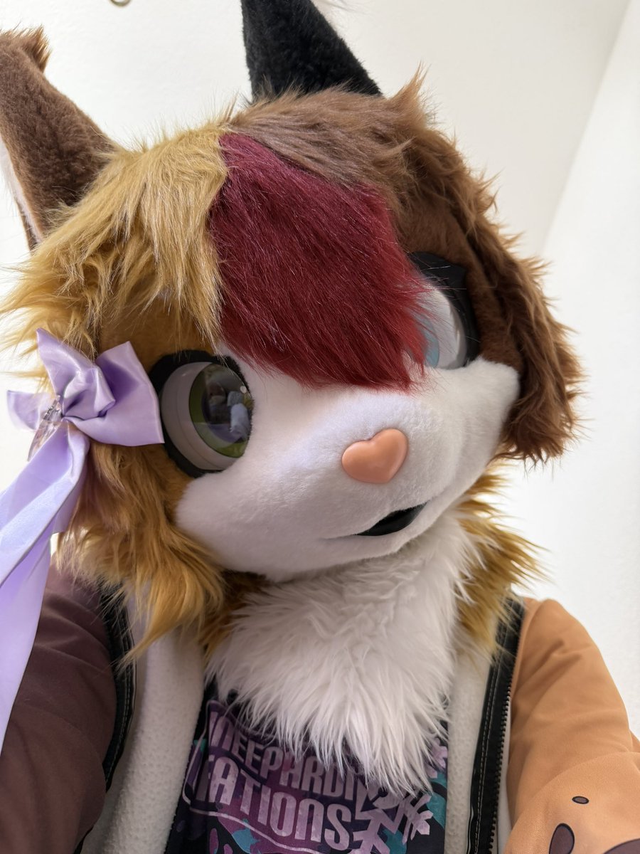 Patch the Cat tweet media