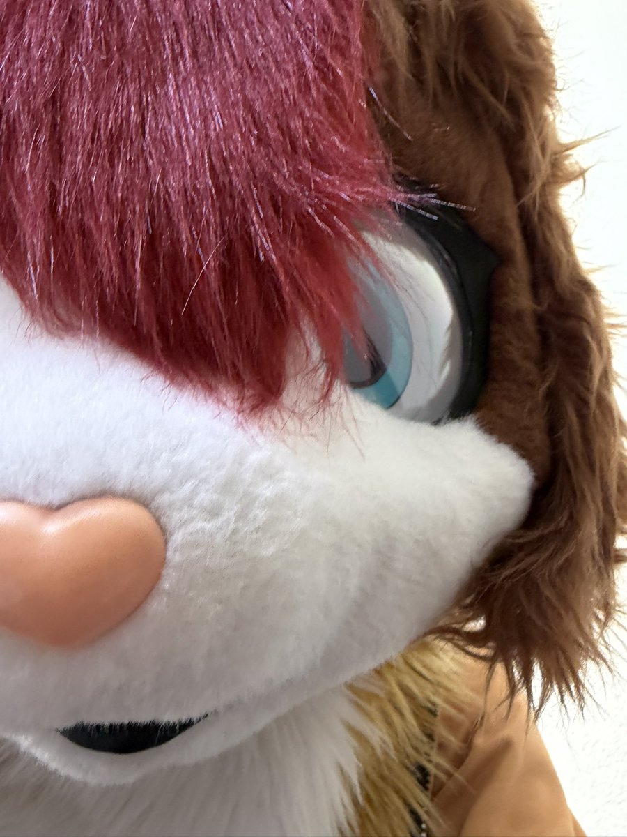 Patch the Cat tweet media