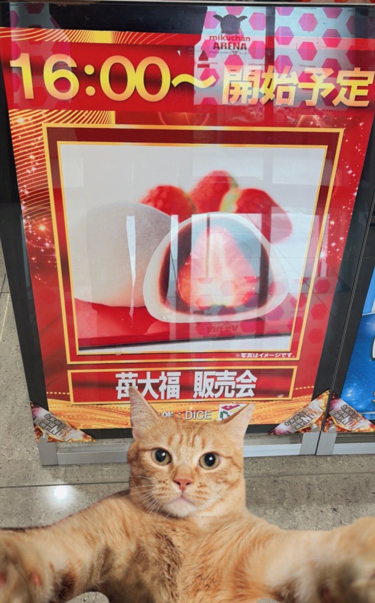 ほんとに一生なにもできなくていまこれ 16じからの販売会、いちご大福