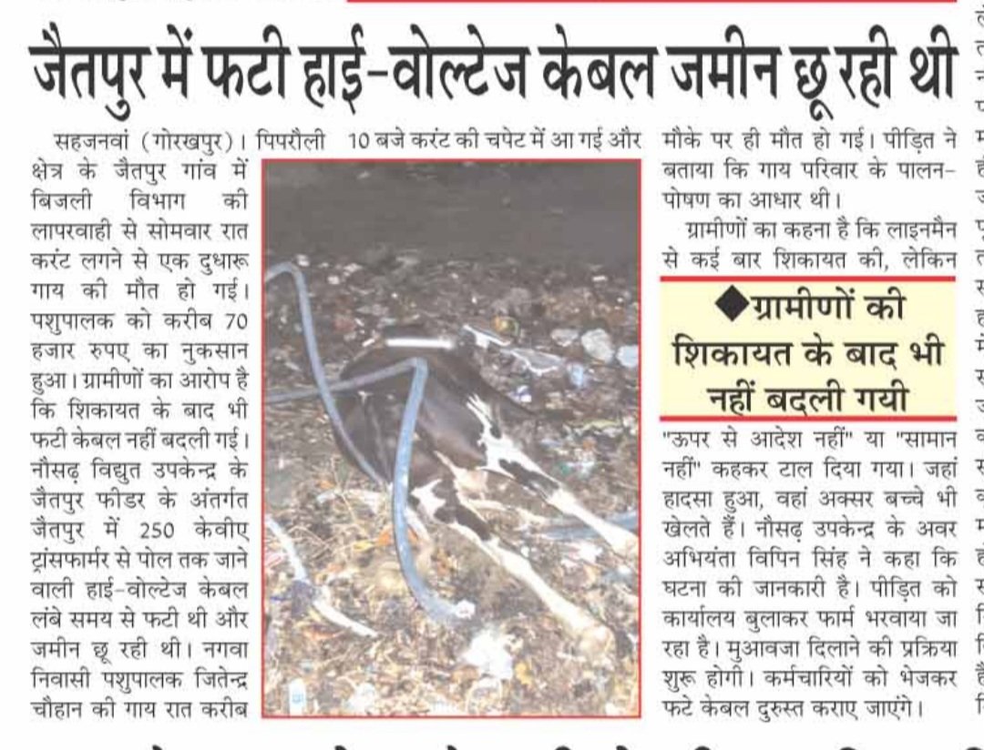 PrinceS10021987's tweet photo. @CMOfficeUP @ChiefSecyUP
@UPGovt @aksharmaBharat @UPPCLLKO @EMofficeUP @MD_PuVVNL @PuVVNLHQ @puvvnlgorakhpur @Dm_Gorakhpur https://t.co/T0mCd2K8Wy