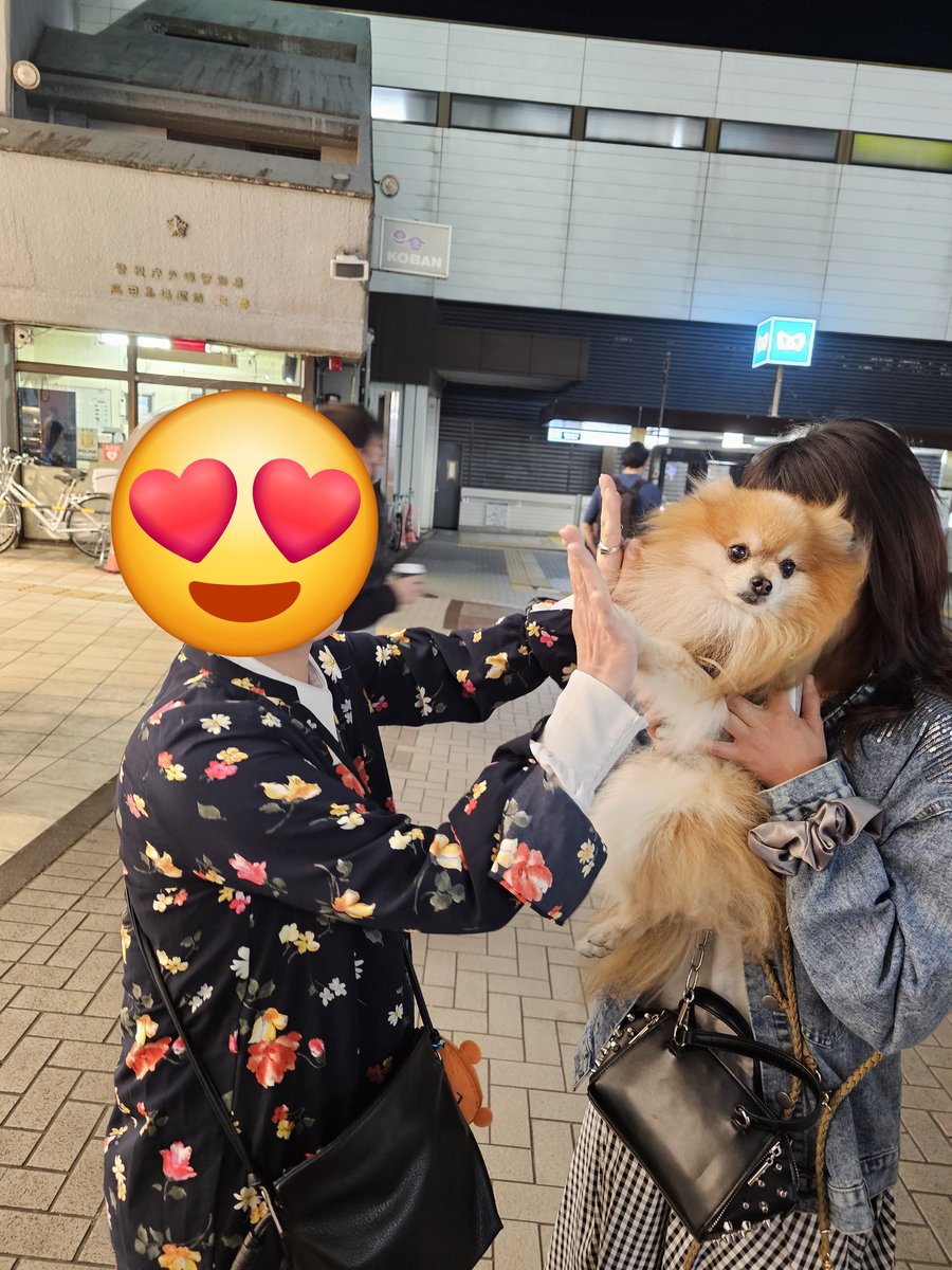 忍 tweet media