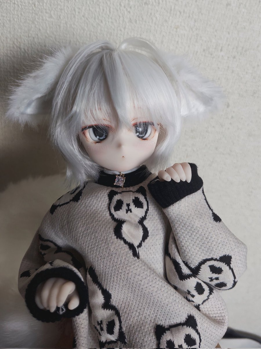 shiro tweet media