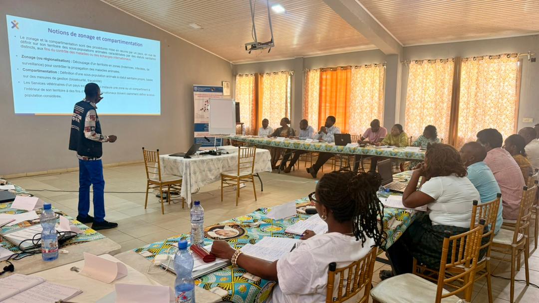 FAORDCongo's tweet photo. 1/2 Ce mardi 5 avril 2026 il y a eu présentation du #RENES et du Guide #SIMAR, outils d’orientation pour améliorer la surveillance et la réponse rapide aux maladies animales, y compris les zoonoses.
#OneHealth #RDC #Epidémiologie #PandemicFund https://t.co/2FfoMT07Jo
